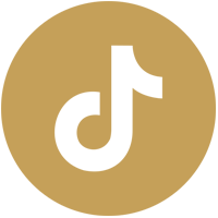 TikTok Icon
